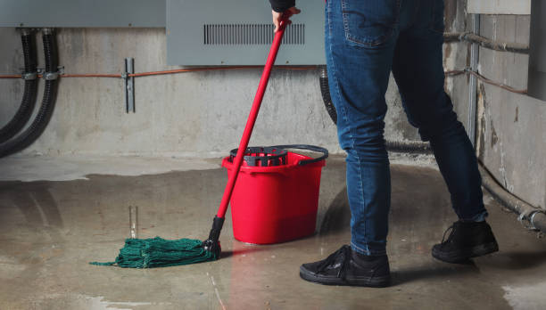  Walled Lake, MI Water damage restoration Pros