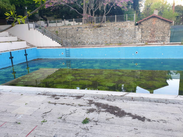 Best Flood restoration services  in Walled Lake, MI