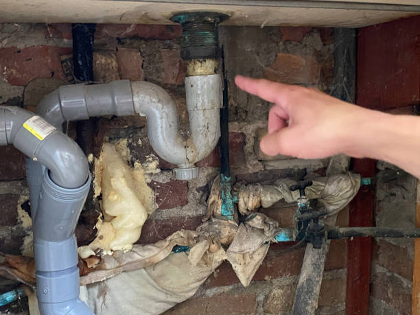 Best Water damage contractors near me  in Walled Lake, MI