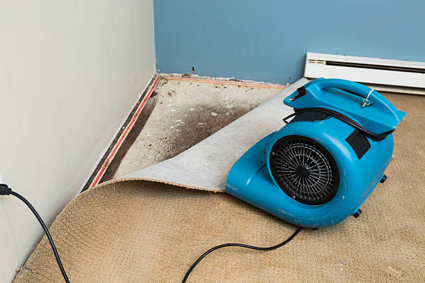 Best Basement water damage restoration  in Walled Lake, MI