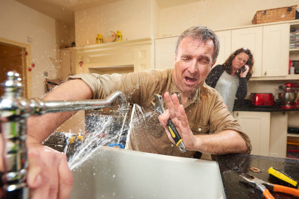Best Mold removal after water damage  in Walled Lake, MI
